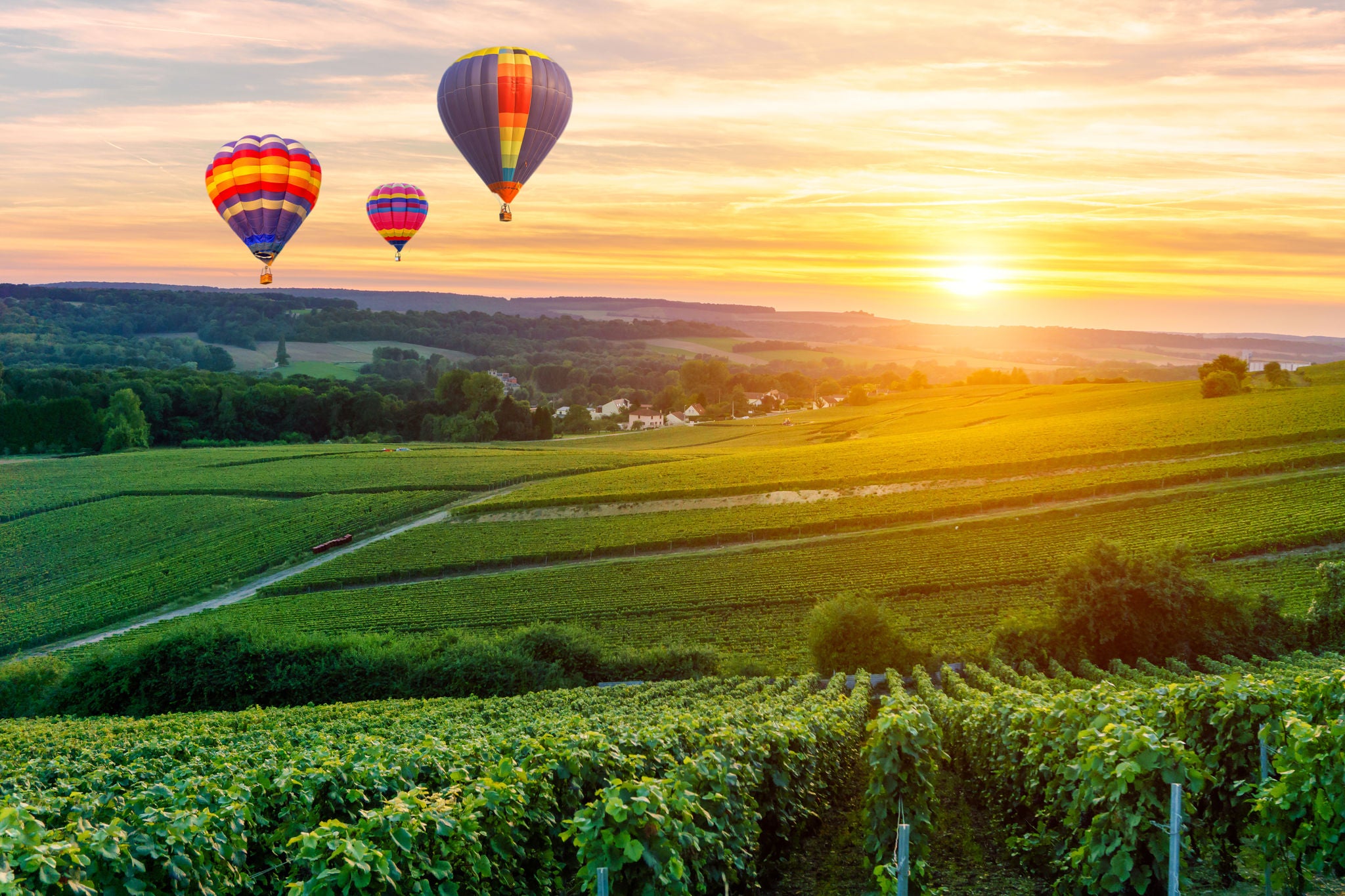 Mongolfiere in volo sulla regione dello Champagne