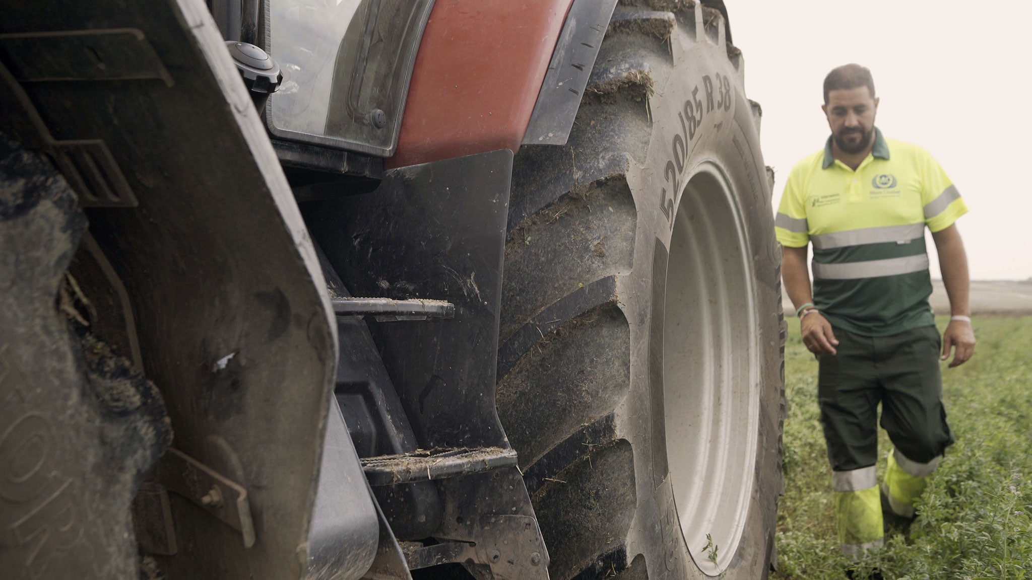 Mora with Tractor tire