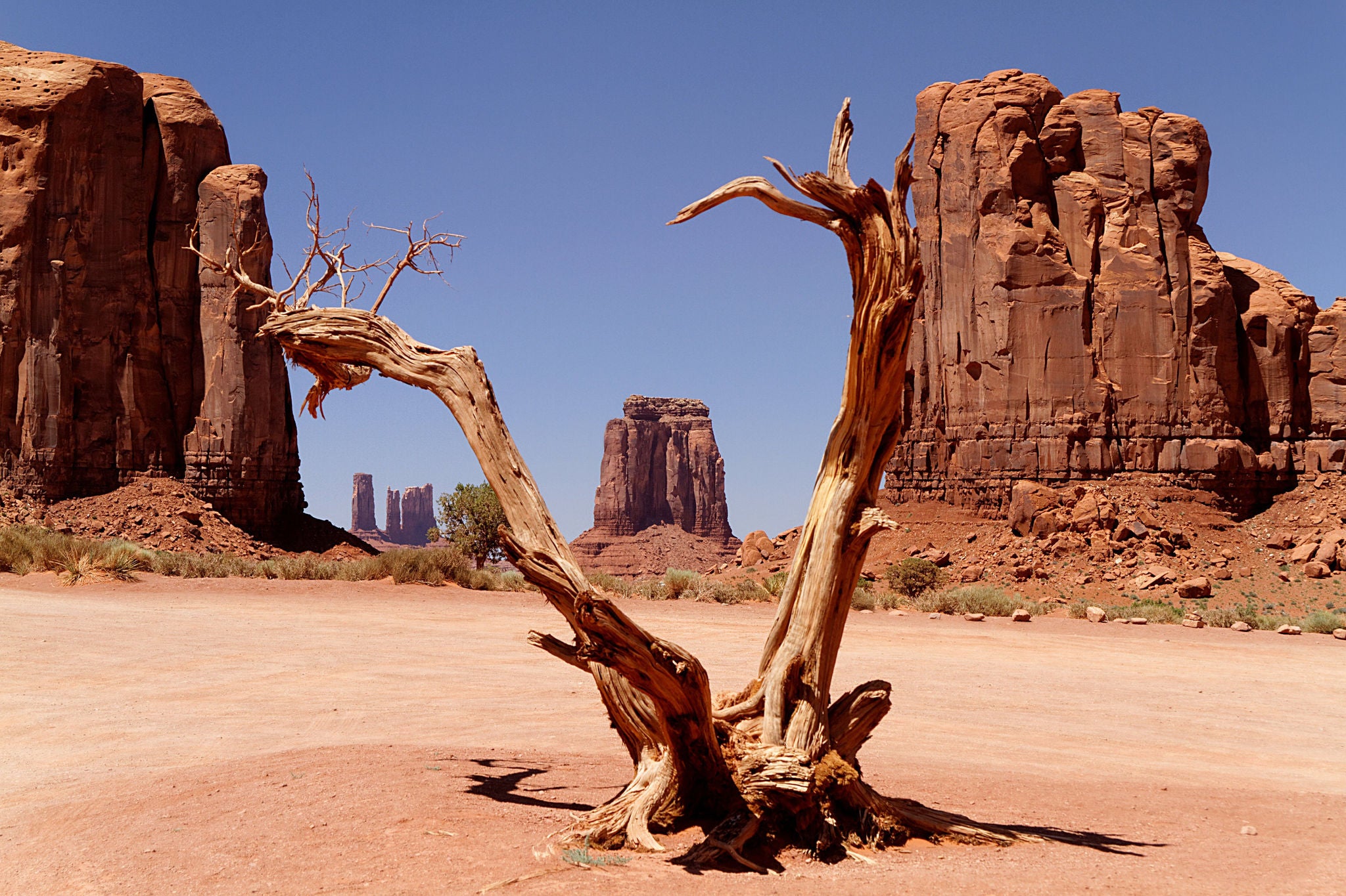 EE20242 Arizona´s desert