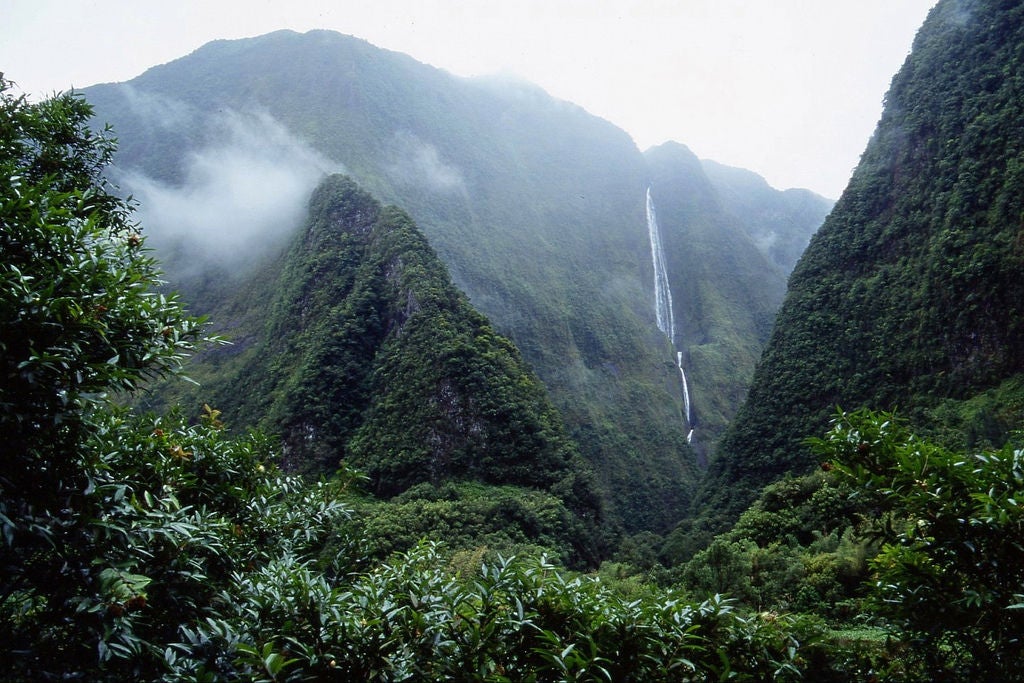 The Grand Raid (La Réunion, Indian Ocean)