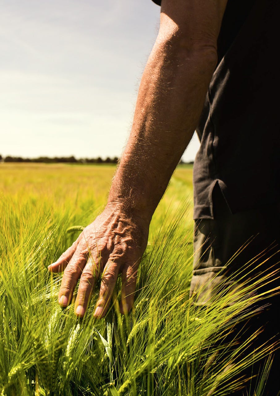 Soil provides nurture and nourishment, changing with the weather and the seasons. 