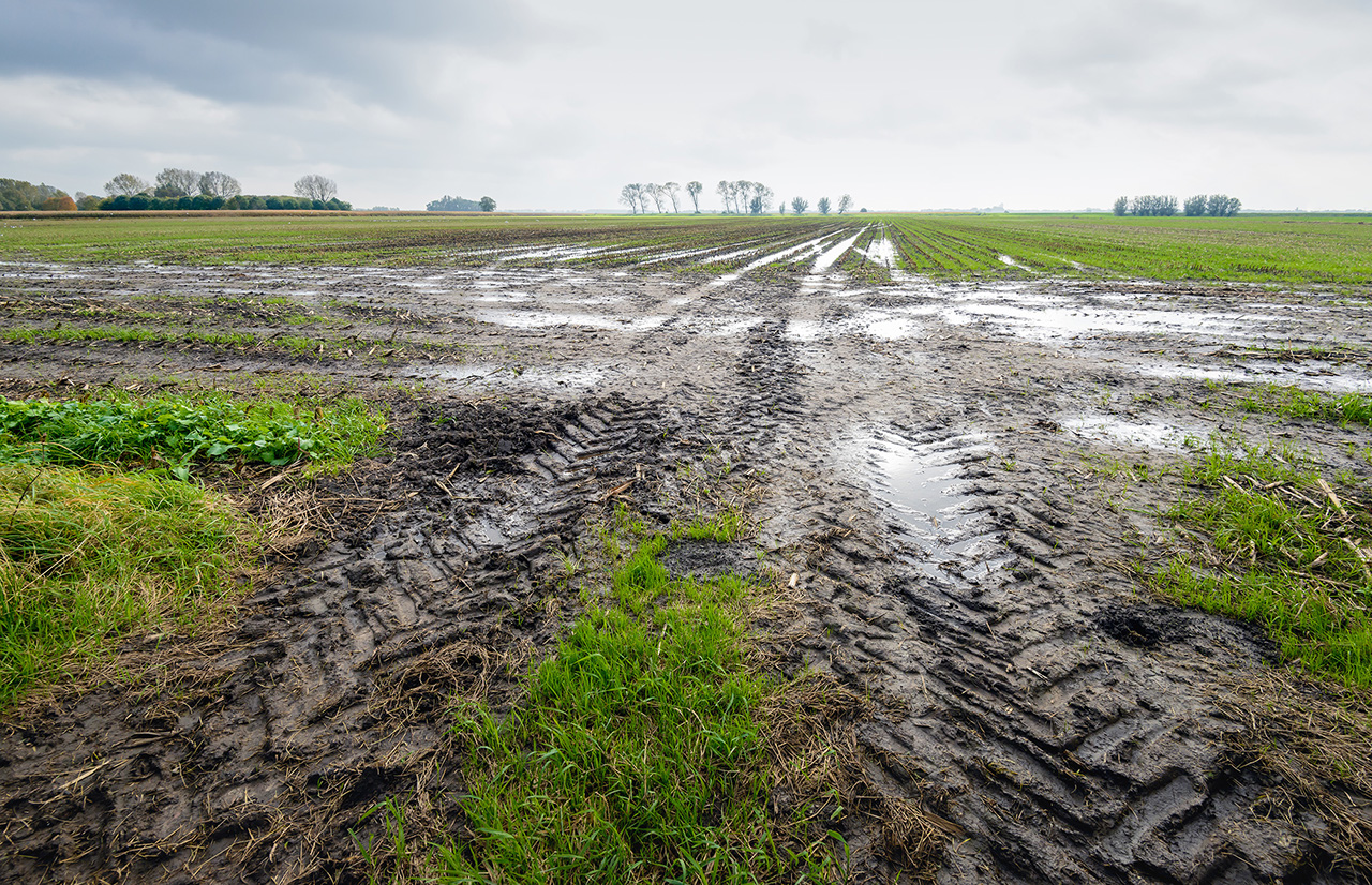Gli agricoltori hanno avvertito di camminare con cautela sul terreno umido